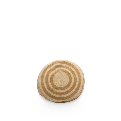secchielloursula1bottom.jpg